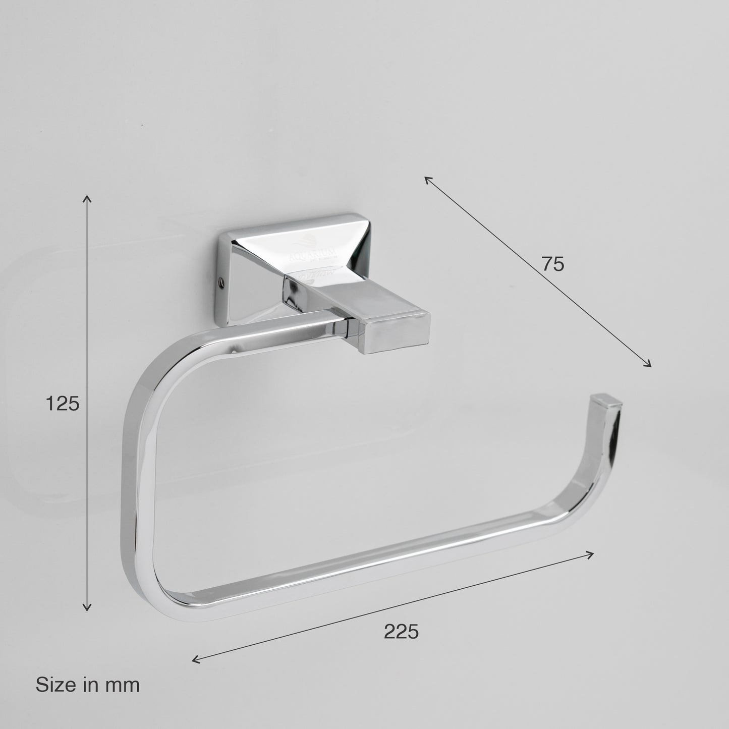 Towel Ring | Brill Series