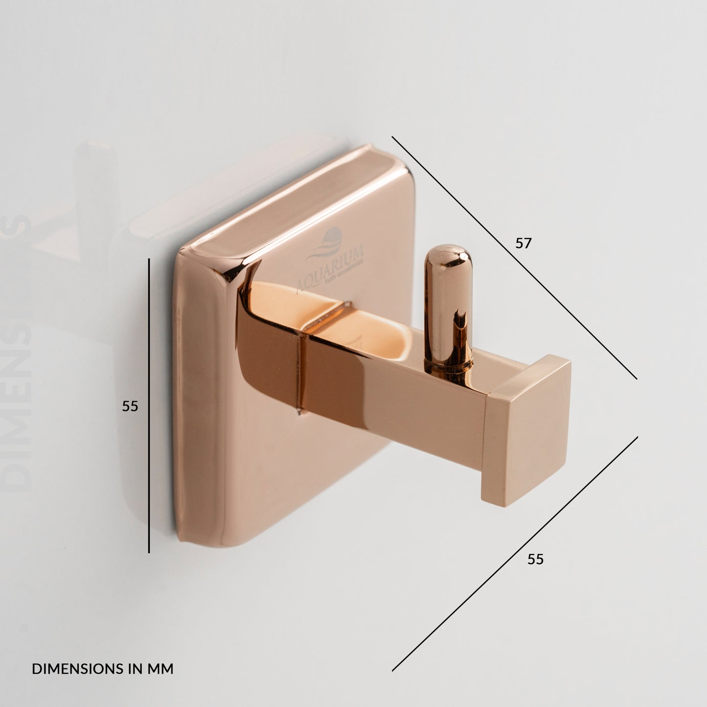 Robe Hook | Astro Series